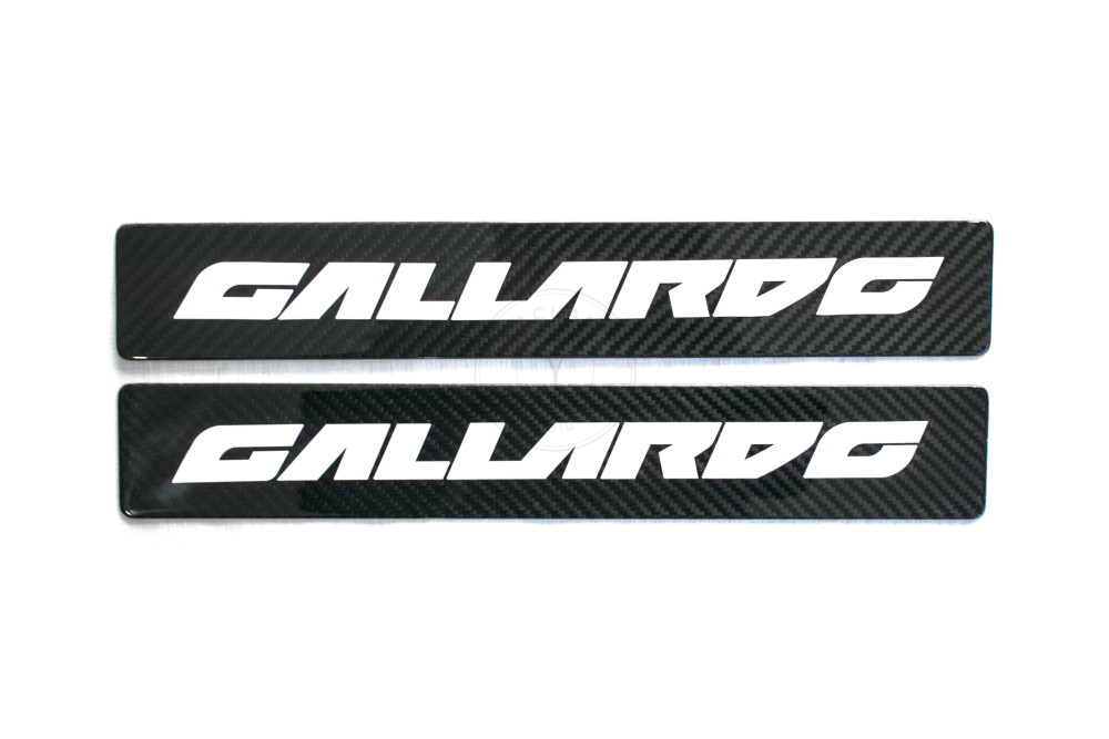 2003-2014 Lamborghini Gallardo LP550 LP560 LP570 Door Sill Plate Replacement