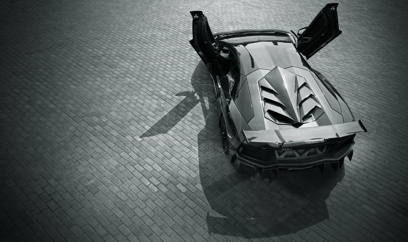 2011-2016 Lamborghini Aventador LP700 LP720 D Style Engine Hood