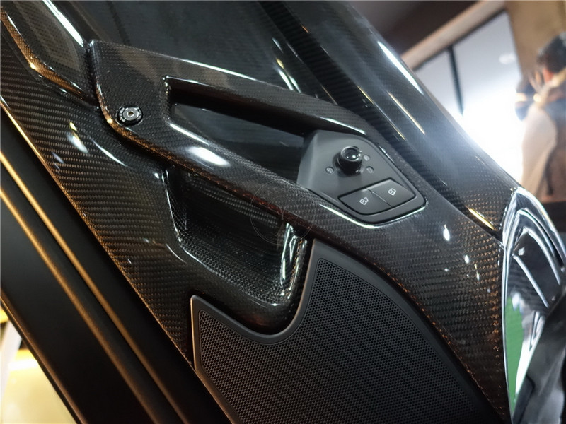 2011-2017 Lamborghini Aventador All Models Interior Door Trim