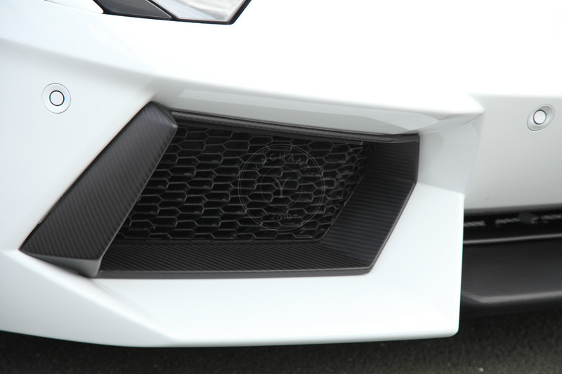 2011-2016 Lamborghini Aventador LP700-4 OEM Front Bumper Parts Center Lip Air Intake Surround Grille