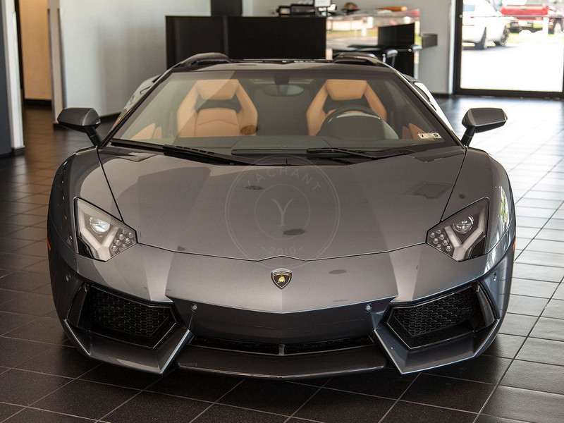 2011-2016 Lamborghini Aventador LP700-4 OEM Front Bumper Parts Center Lip Air Intake Surround Grille