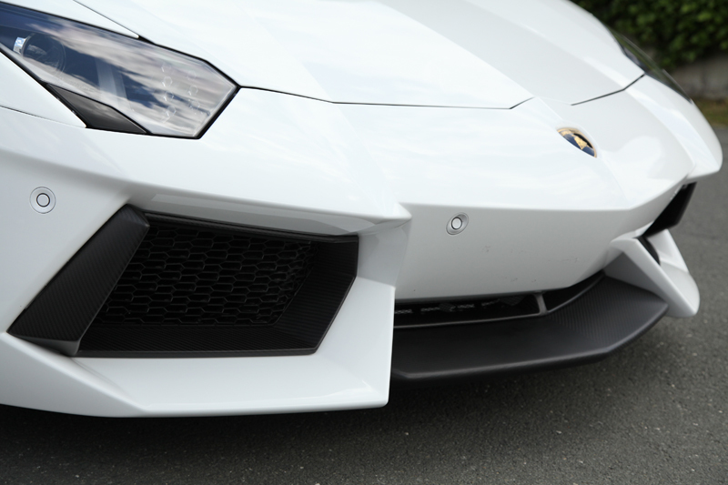 2011-2016 Lamborghini Aventador LP700-4 OEM Front Bumper Parts Center Lip Air Intake Surround Grille