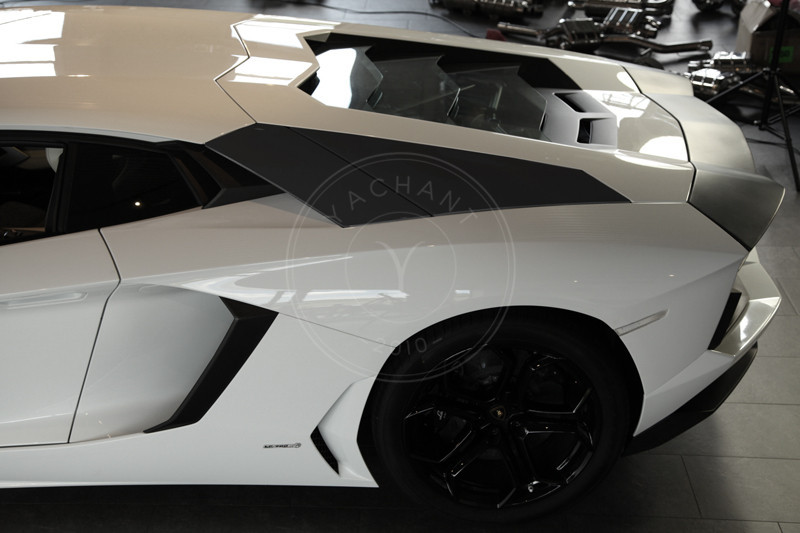 2011-2017 Lamborghini Aventador All Models OEM Rear Triangle Panel 4pcs