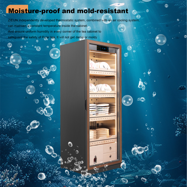 RACHING Tea cabinet FJ-CY8801 for raw and ripe Pu erh tea, with constant temperature and humidity for preservation and moisture retention. Refrigerator display cabinet