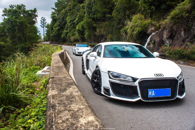 2008-2015 R8 V8 V10 Coupe & Spyder OEM Style Hood