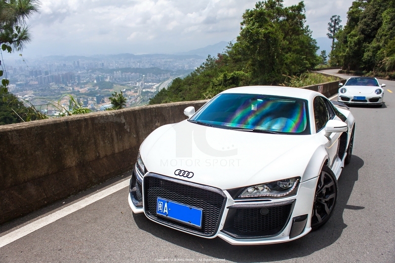 2008-2015 R8 V8 V10 Coupe & Spyder OEM Style Hood
