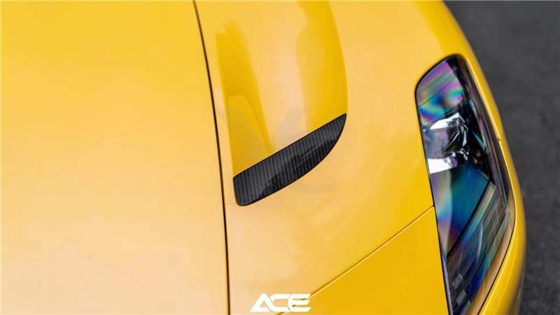 2020-2023 Maserati MC20 NVT Style Front Lid Inserts Dry Carbon Fiber