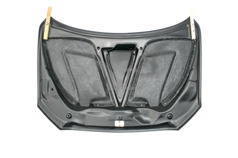 evo x carbon fiber hood