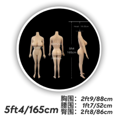 5ft4/165cm #1