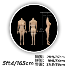 5ft4/165cm #2