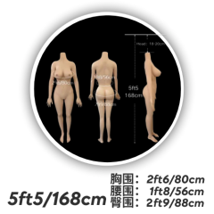 5ft5/168cm #1