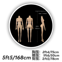 5ft5/168cm #2