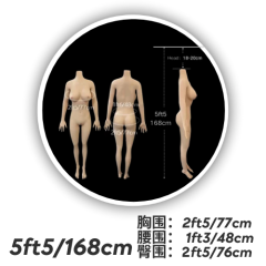 5ft5/168cm #3