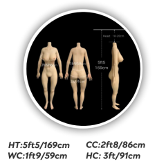 5ft5/169cm