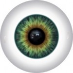 color 11