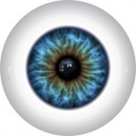 color 5