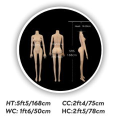 5ft5/168cm #2