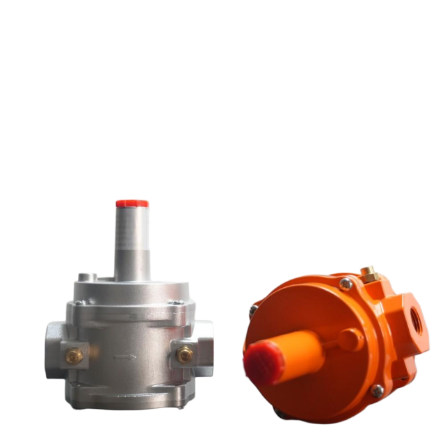 Filter stabilizing valve,Natural gas pressure regulating valve

BSS Safety Group,www.huiderhvac.com