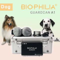 Biophilia Guardian A1 Bioresonance machine for dog