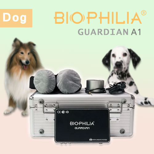 Biophilia Guardian A1 Bioresonance machine for dog