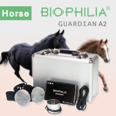Biophilia Guardian A2 Bioresonance machine for horse