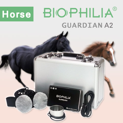 Biophilia Guardian A2 Bioresonance machine for horse
