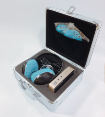 17D-NLS Bioresonance Machine - Aura Chakra Healing