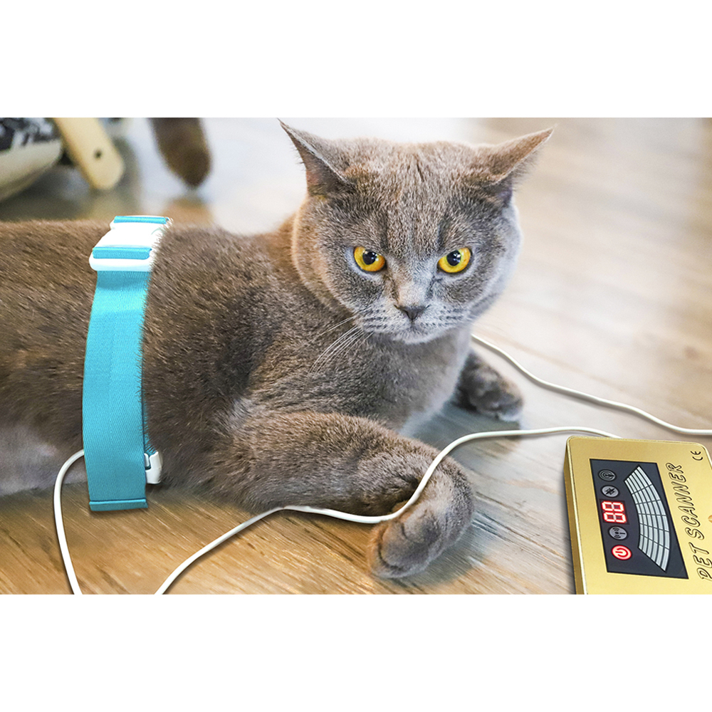 Quantum Pet Health Scanner for Dog and Cat