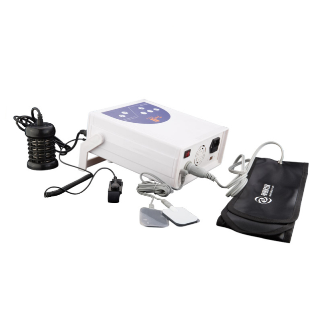 Single Ions Detox Food Spa Machine