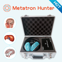 Metatron 4025 Hunter Bioresonance Machine for human body diagnosis and therapy