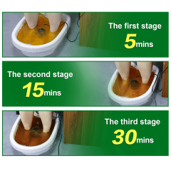 3 in 1 Dual Ionic Detox foot spa