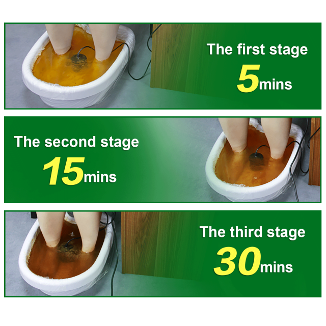 3 in 1 Dual Ionic Detox foot spa