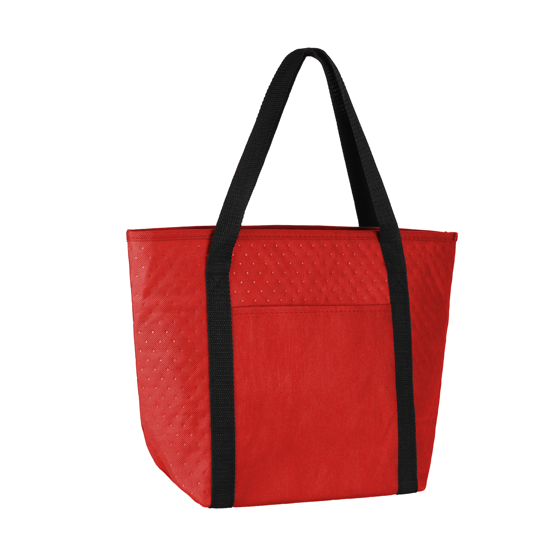 Insulated 16-Can Beverage Cooler Bag