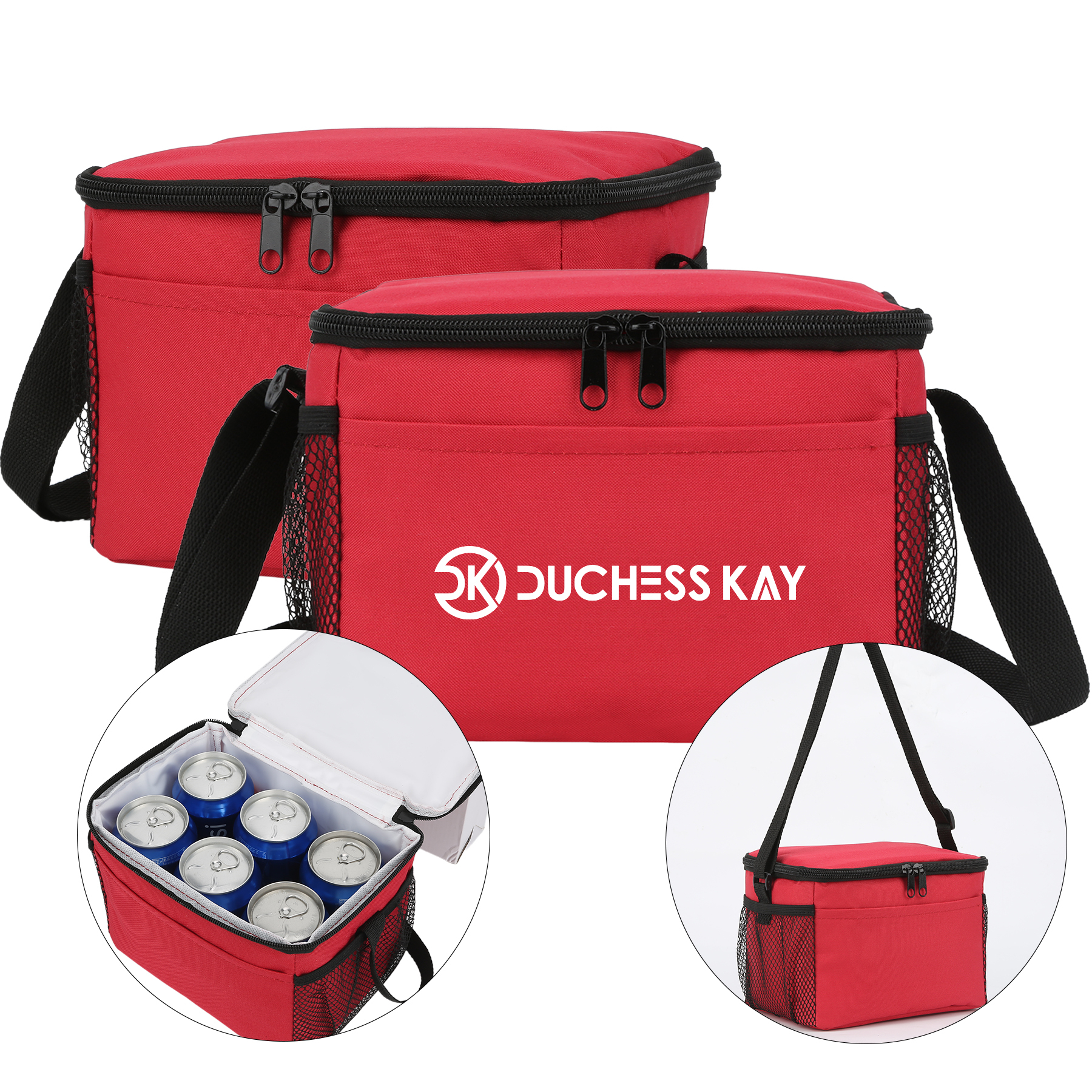 6-Can Insulated Thermal Lunch Bag