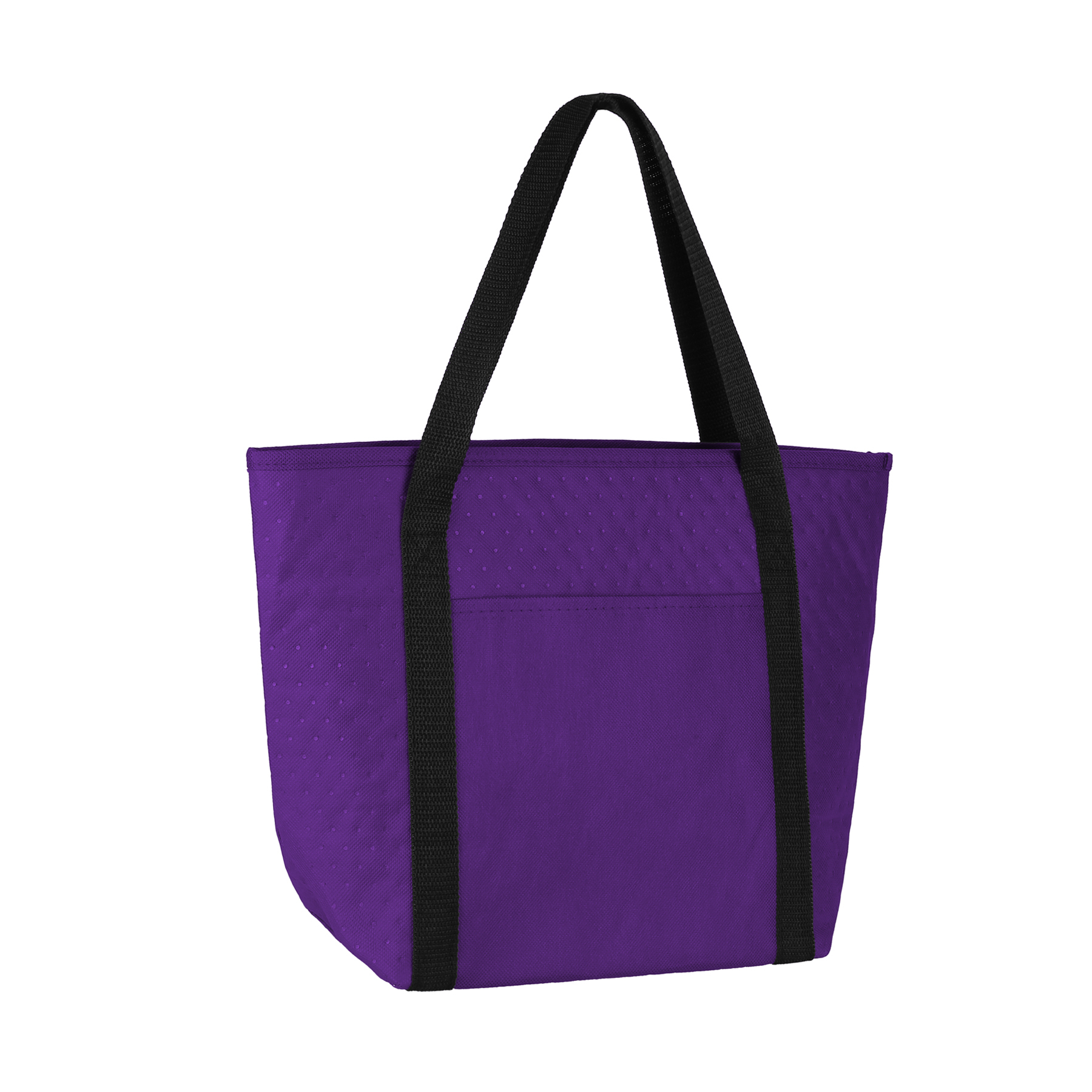 Insulated 16-Can Beverage Cooler Bag