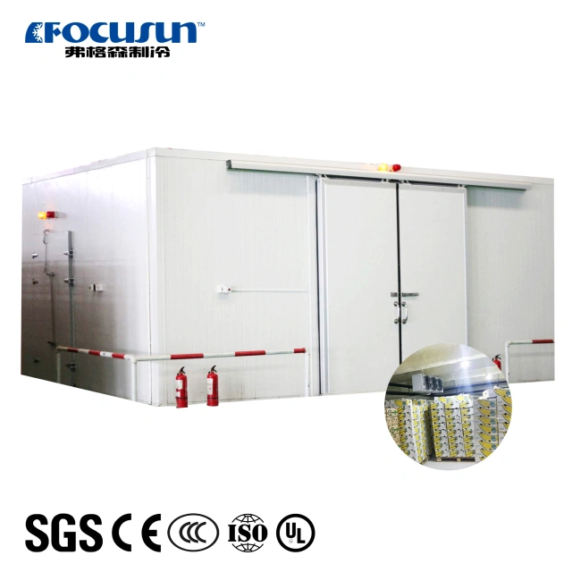 Cold Storage For Fruits & Vegetables