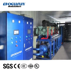 Conveyor-Type Ice Storage