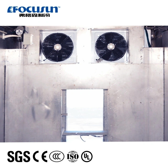 Conveyor-Type Ice Storage