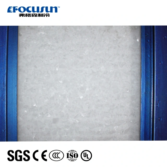 Conveyor-Type Ice Storage