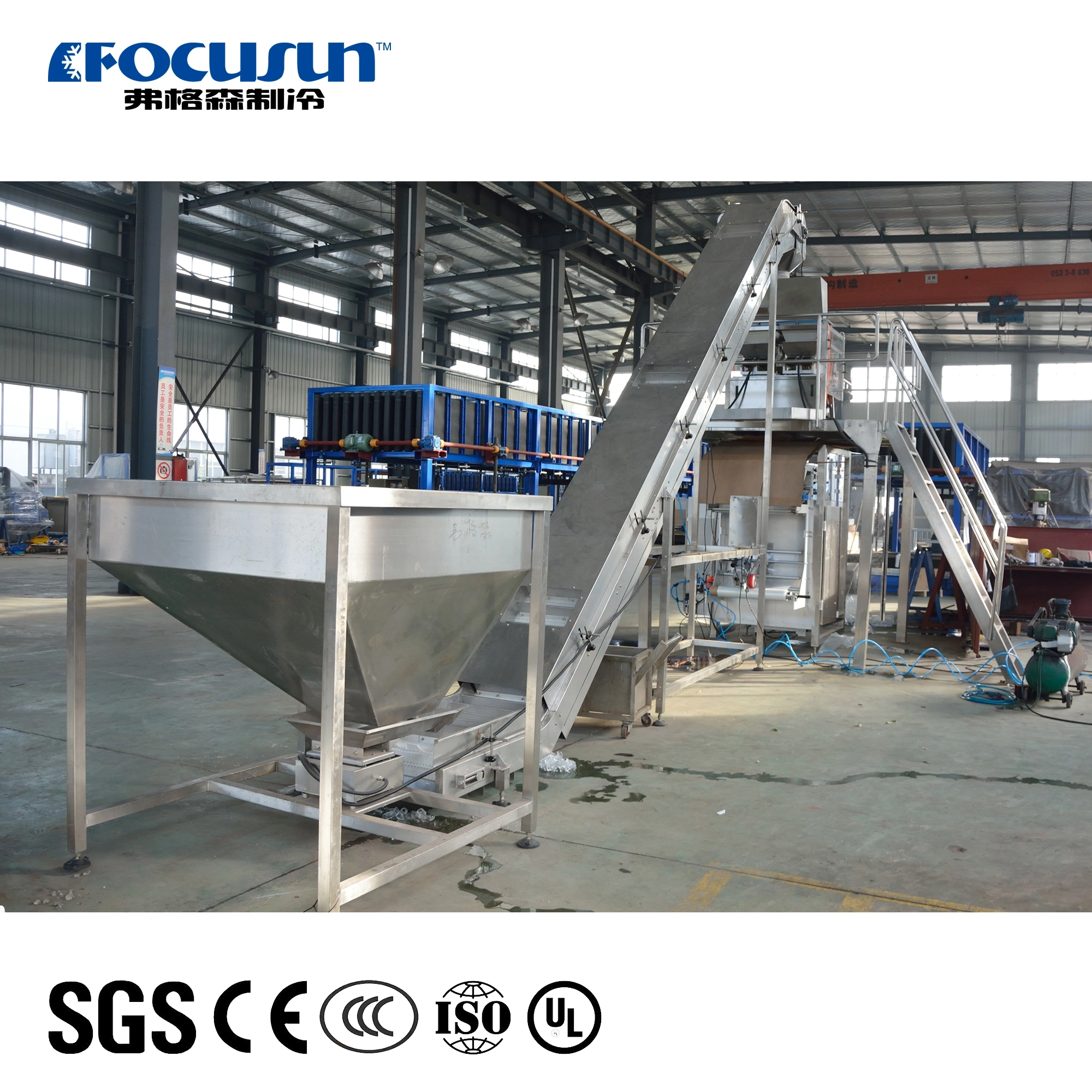 Fully Automatic Ice Bagging Machine