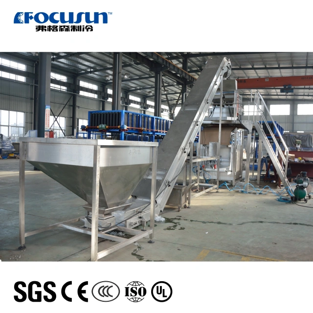 Fully Automatic Ice Bagging Machine