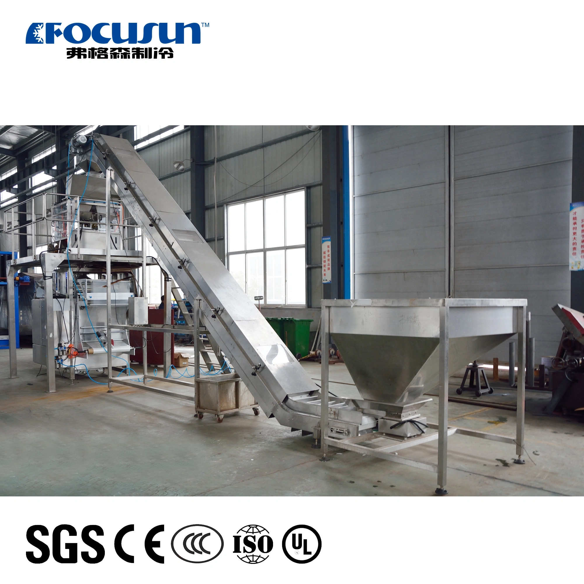 Fully Automatic Ice Bagging Machine
