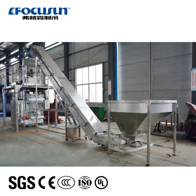 Fully Automatic Ice Bagging Machine