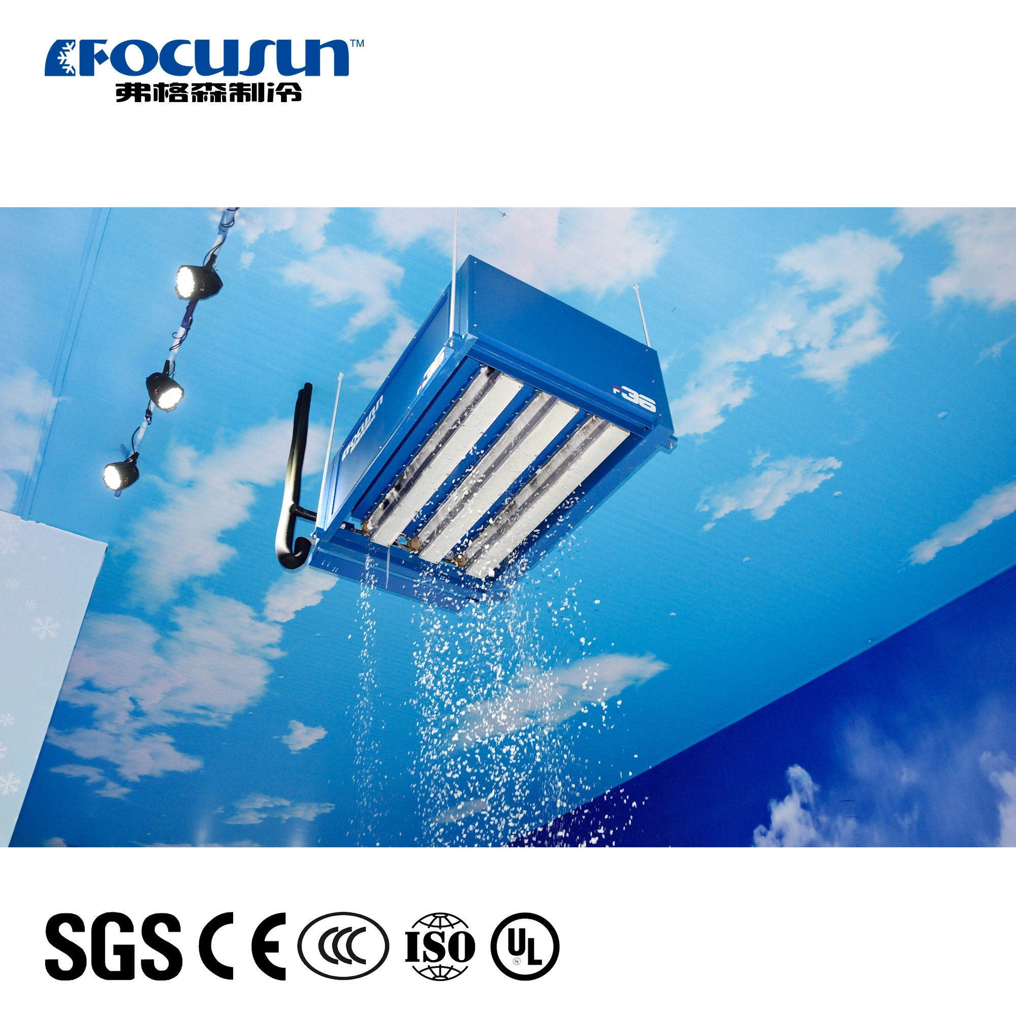 6 Tons/Day F56 Snow Falling Machine