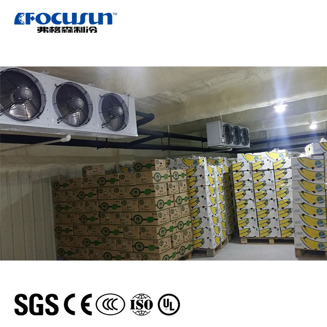 Cold Storage For Fruits & Vegetables