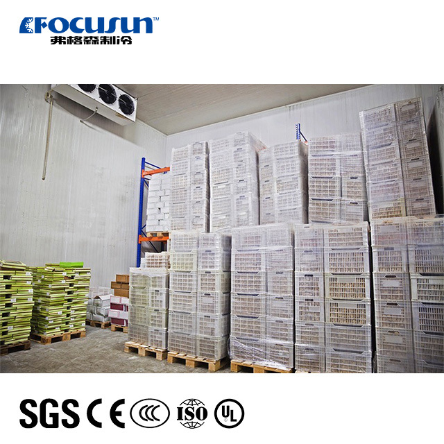 Cold Storage For Fruits & Vegetables