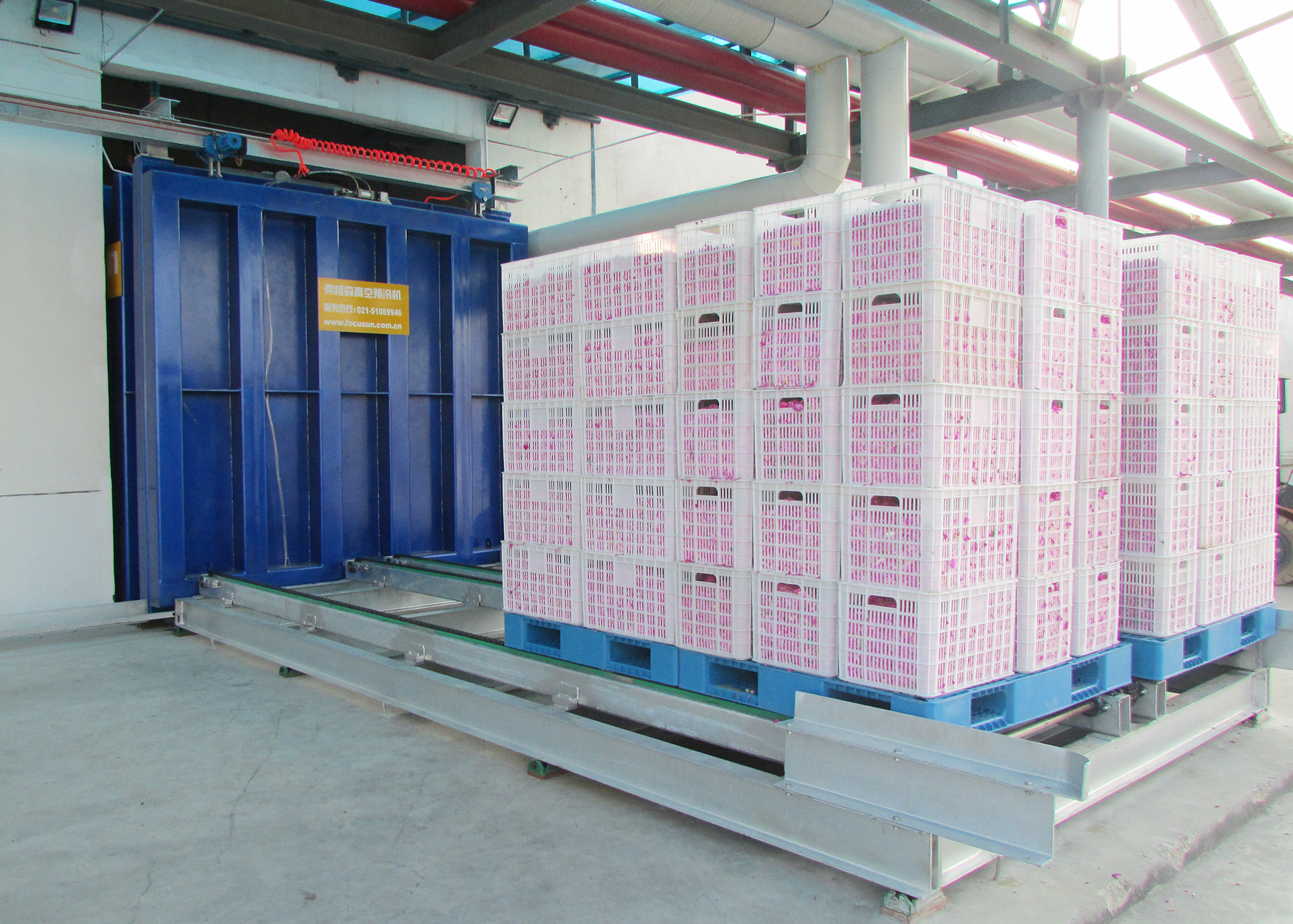 vaccum cooling for vegetable