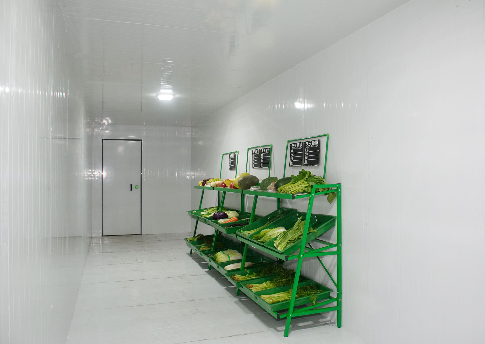 Clean interior of an off-grid cold room featuring Focusun insulated panels and a temperature-controlled storage area