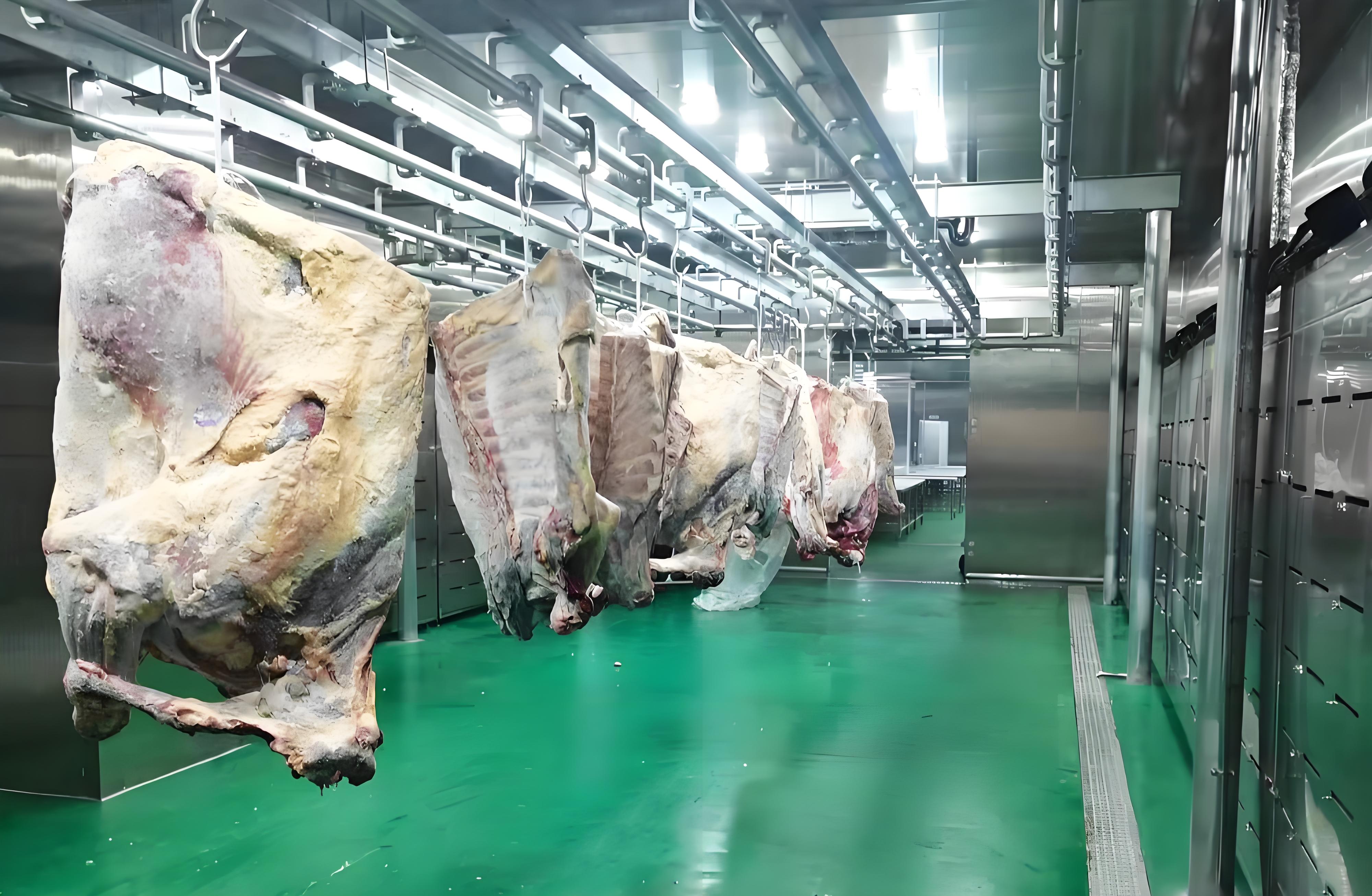 Expansive interior of a large cold-chain storage facility designed for high-volume palletized goods.