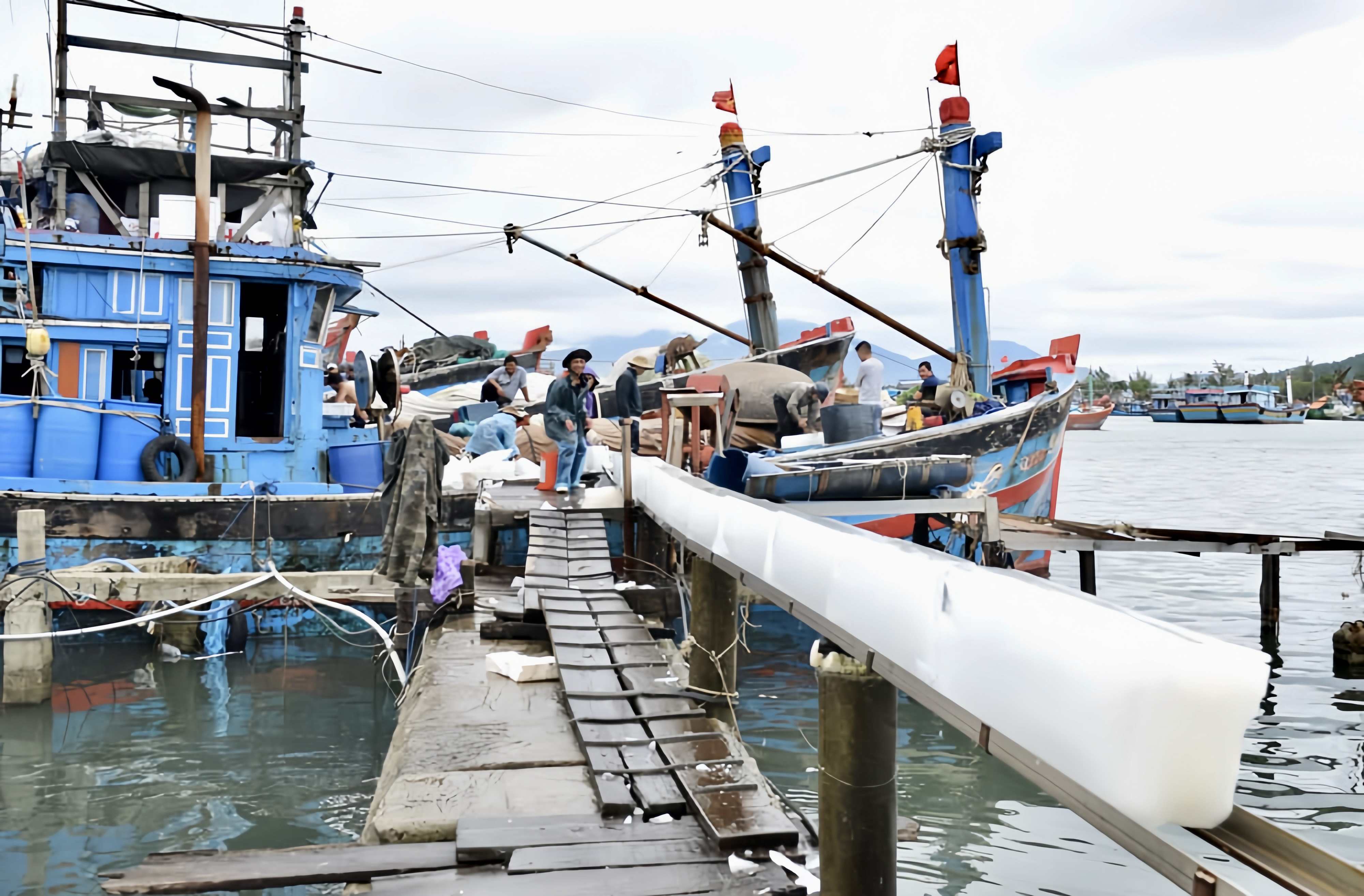 Large block ice used in fishery operations for long-distance ocean transport and reliable dockside seafood storage.